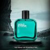 Wild Stone Edge Premium Perfume for Men, 50ml