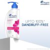 Head & Shoulders Anti- Dandruff Shampoo,