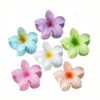 Hair Clips For Women 6 Pack Flower Hair Claw Clips Plumeria Claw ClipsHair Clips For Women 6 Pack Flower Hair Claw Clips Plumeria Claw Clips